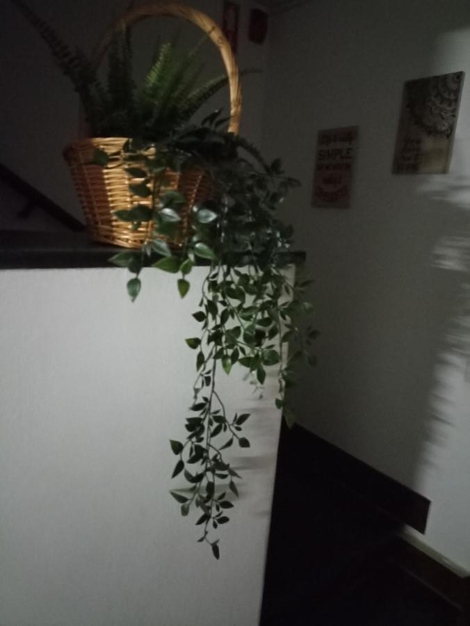Hostel Vilarade 포티마오 외부 사진